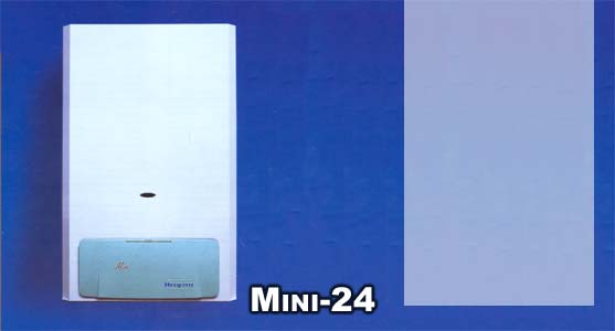 Mini 24